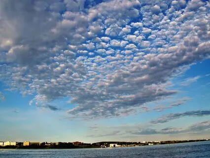 Wisdom Of Shaltazar Oracle Card - 54 | You Are Never Alone