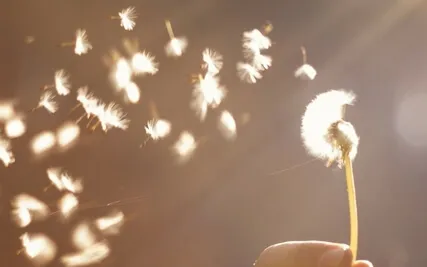 Wisdom Of The Body To Welcome And Release 