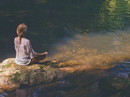 Wisdom Of The Forest: A Journey Into Stillness