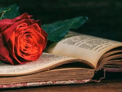 Wisdom Of The Rose: A Sacred Transmission And Guided Journey