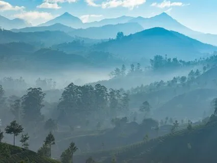 Wisdom Pills: Action