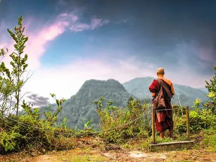 Wisdom Pills:  Authoritarianism