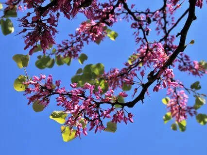 Wisdom Pills: Clarity