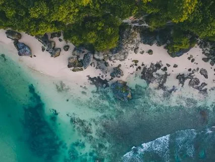 Wisdom Pills: Connection To Nature