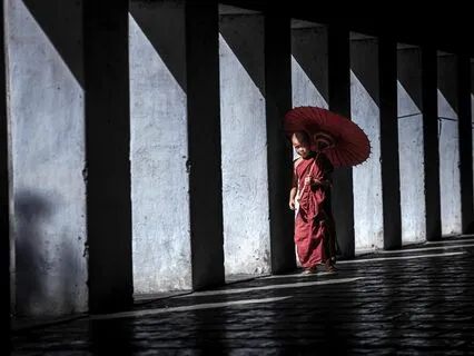 Wisdom Pills: Contemplation