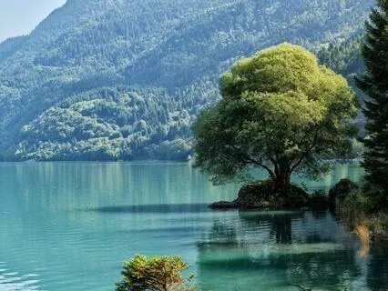 Wisdom Pills: Discovery