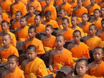 Wisdom Pills: Distractions