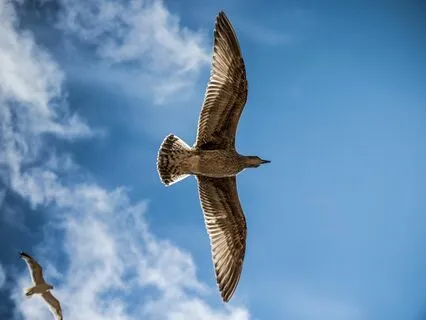 Wisdom Pills: Empowerment