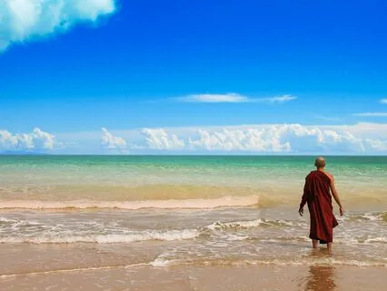 Wisdom Pills: Enlightened Wakefulness