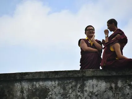 Wisdom Pills: Fortitude