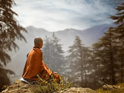 Wisdom Pills: Here & Now