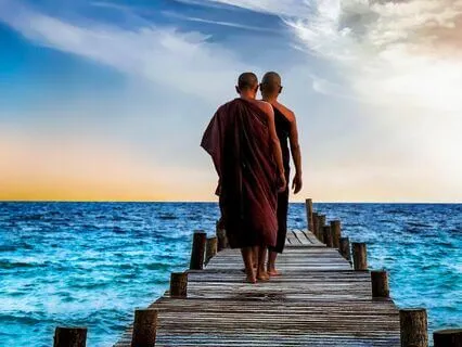 Wisdom Pills: Home In Creation