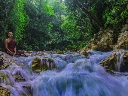 Wisdom Pills: Insightful Salvation