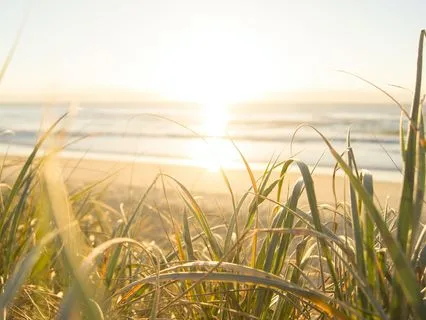 Wisdom Pills: Knowledge