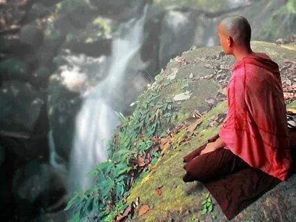 Wisdom Pills: Nature's Course