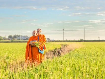 Wisdom Pills: Perception Shapes Reality