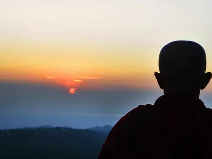 Wisdom Pills: Resilience