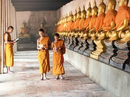 Wisdom Pills: Selection