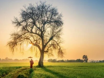 Wisdom Pills: Self-Discovery