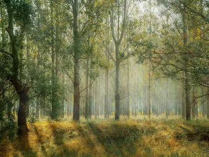 Wisdom Pills: Spontaneity