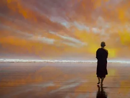 Wisdom Pills: Transient Impact