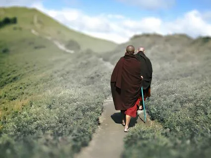 Wisdom Pills: True Happiness