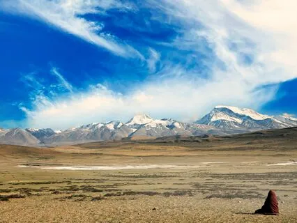 Wisdom Pills: Understanding Similarity