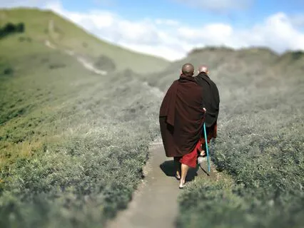 Wisdom Pills: Wealth