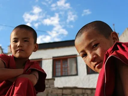 Wisdom Pills: Intermediary