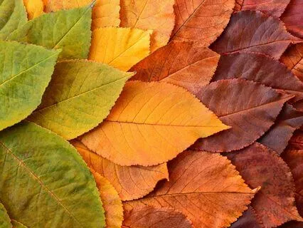 Wisdom Pills: Change