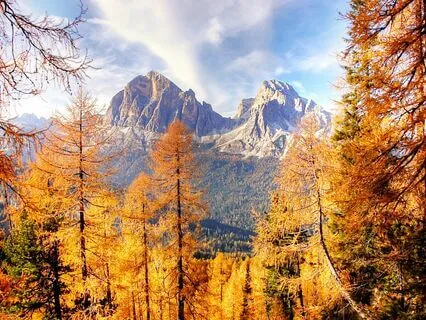 Wisdom Pills: Imitation