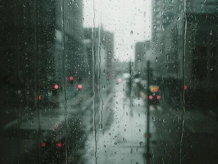 Wisdom's Reverie - Echoes Of Timeless Teachings