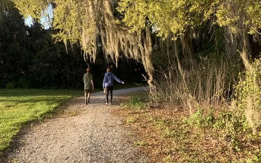 Wise Guide Imagery (No Music)