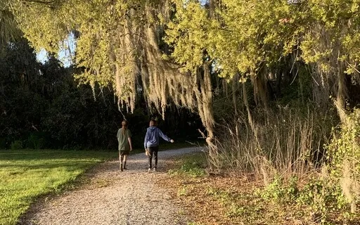 Wise Guide Imagery With Music