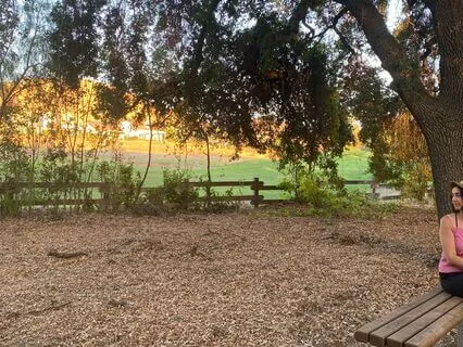 Wise Inner Self Meditation