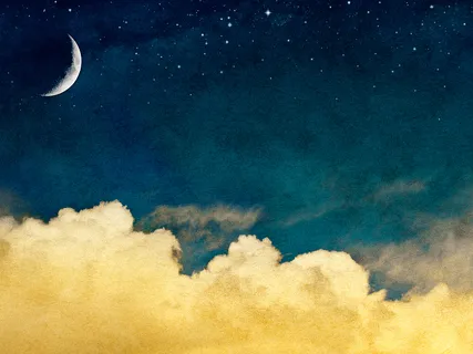 Wise Voice, First Voice