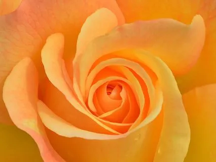 Wise Woman Affirmations