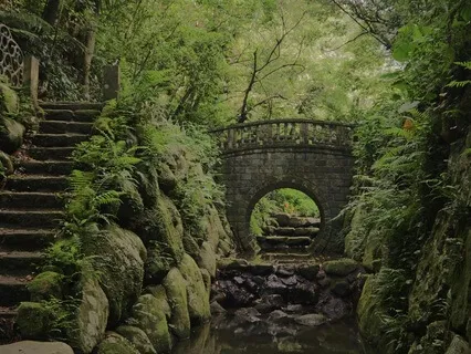 Wisest Self Meditation