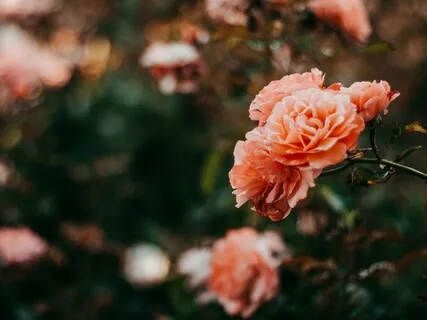 Wish ‘Certain’ Emotions Would Just Go Away? - Sounds Daunting But On The Other Side Is Freedom