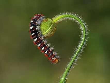 Wishing Ourselves & Others Well