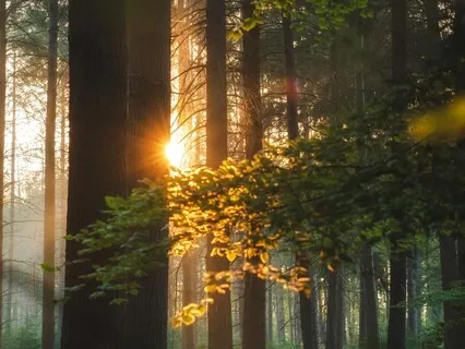 Whispers On The Wind - You Can Be