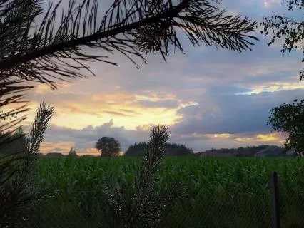 Witaj w moim Siedlisku – opowieść do snu (8h)