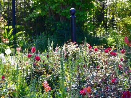 Witch’s Garden At Dawn