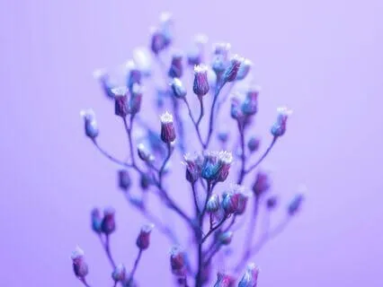 With Every Breath That I Take