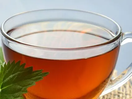 With Every Nourishing Breath A Life Lesson