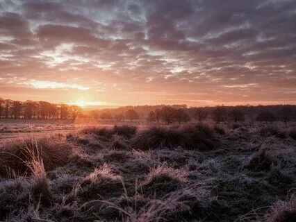 Anchoring Awakeness With Swami Nityananda