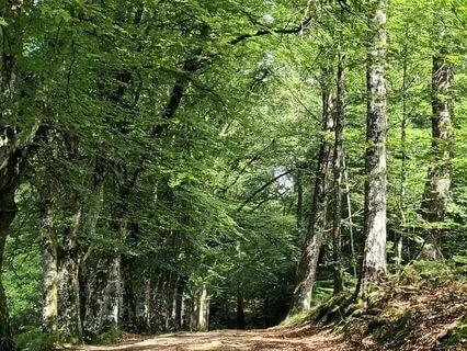 With The Four Natural Elements (Shamanic Drums)