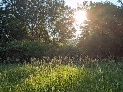 With You Always: In The Company Of Someone You Miss