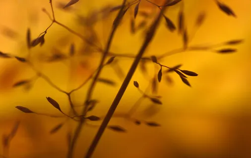 Within All Things: Two Ideas To Meditate Upon Always