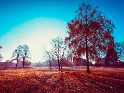 Within the Morning Soul